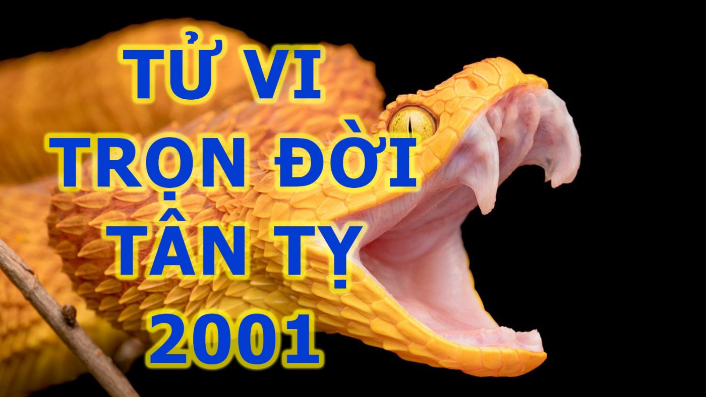 tu-vi-tron-doi-tan-ty-2001